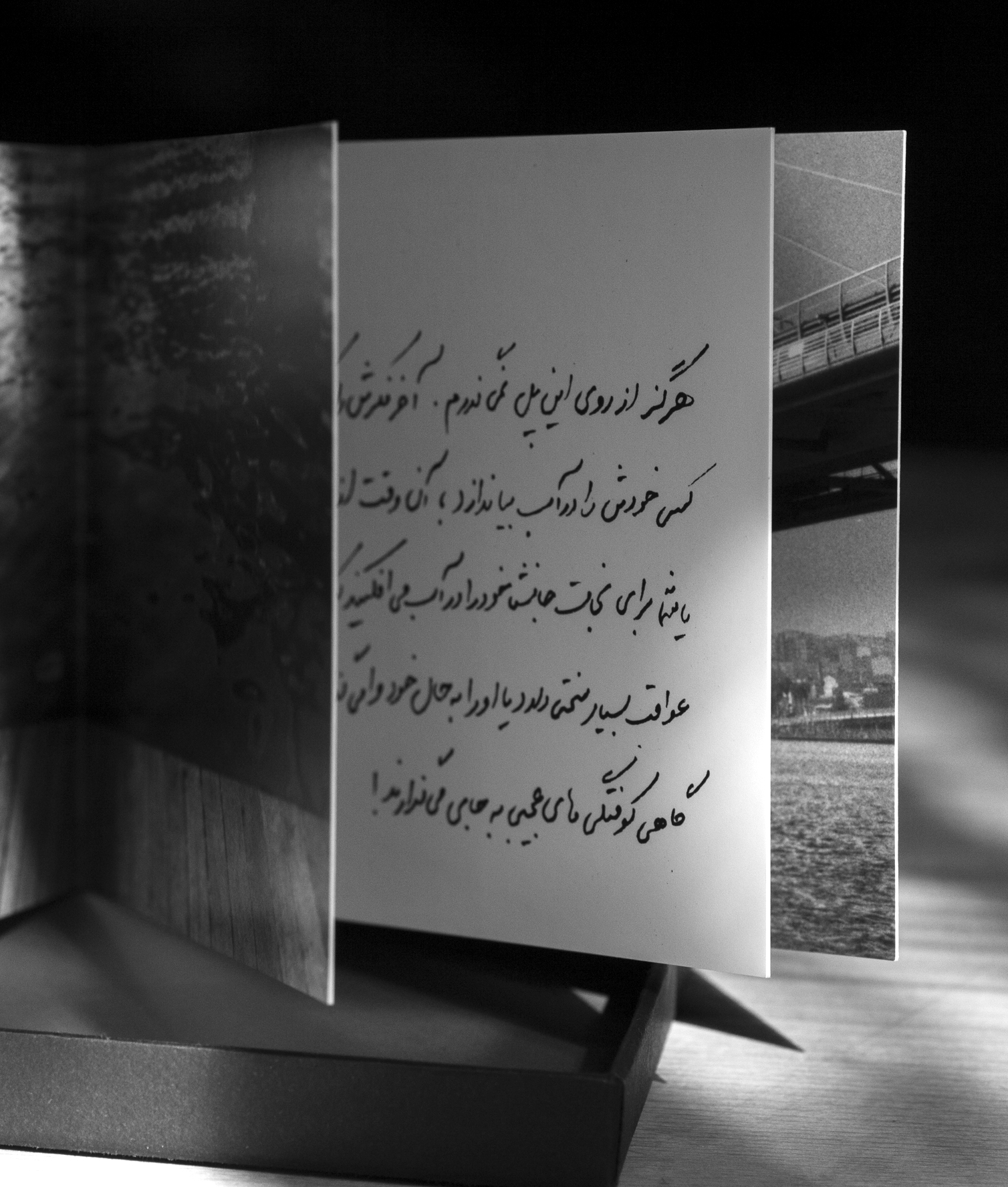Arman Golestaneh